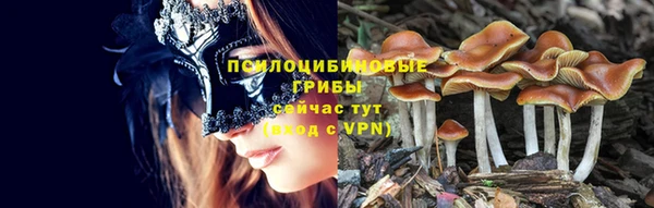 spice Гусь-Хрустальный