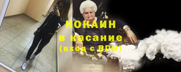 сатива Гусев