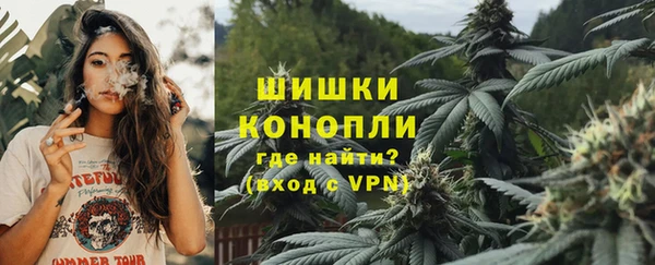 spice Гусь-Хрустальный