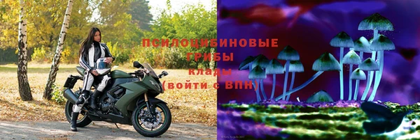 spice Гусь-Хрустальный