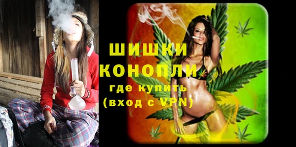 spice Гусь-Хрустальный