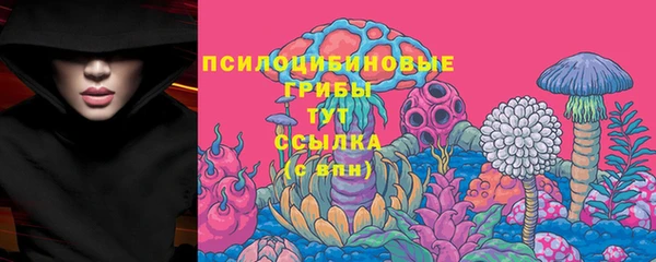 spice Гусь-Хрустальный