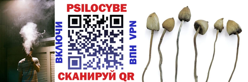 Галлюциногенные грибы мицелий Кологрив